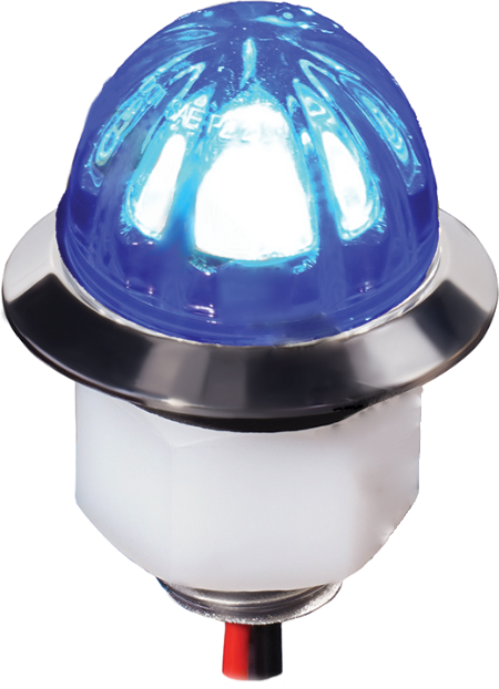 Lumière Watermelon - Clear Lens / Bleu - 3/4"