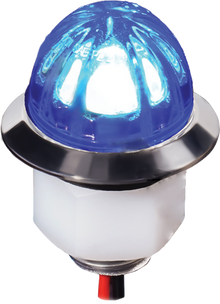 Lumière Watermelon - Clear Lens / Bleu - 3/4"