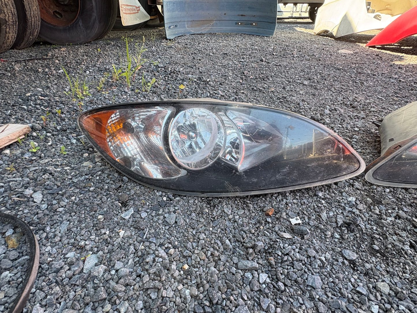 Paire de lumière International Prostar
